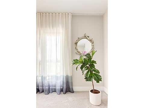 A potted plant next to a window covered with drapes