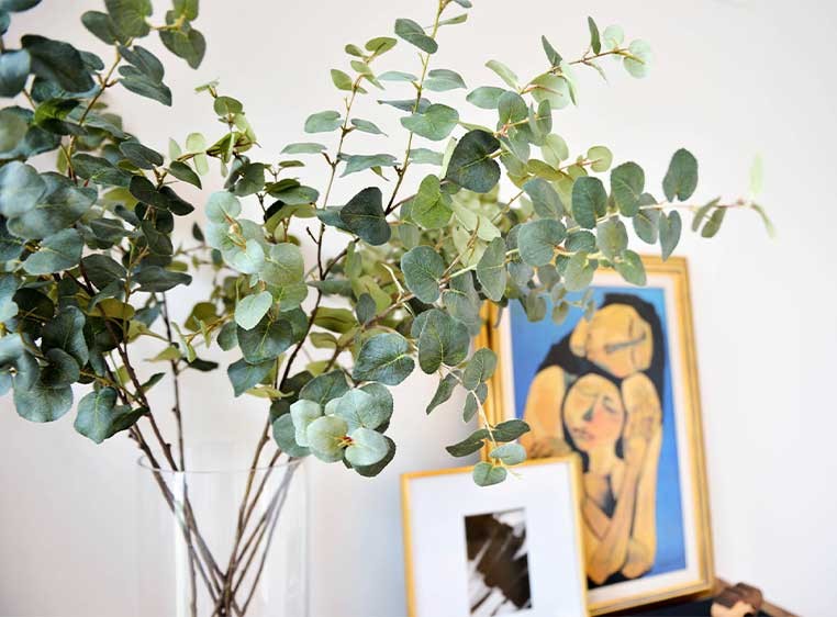 A house plant next to a few paintings
